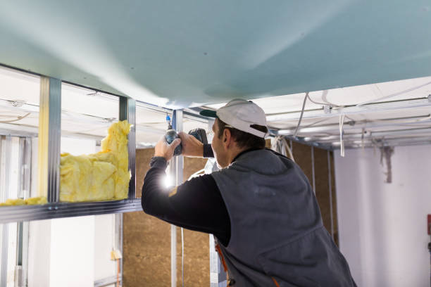 Best Residential Insulation in Granite Falls, MN